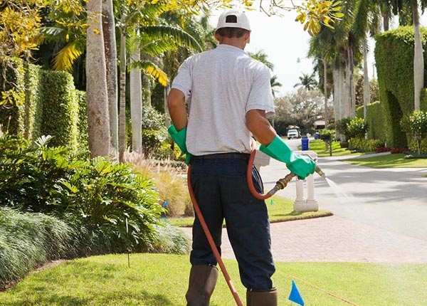 About Newtown Square PA Pest Control Pros